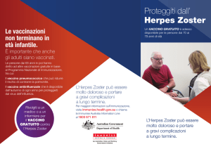 Proteggiti dall` Herpes Zoster