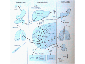 07 biotrasformazioni File