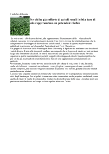 Per chi ha già sofferto di calcoli renali i cibi a base di soia