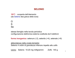 SELENIO O S Se - Macroarea di Scienze