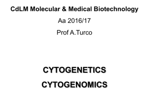 Citogenetica classica o convenzionale