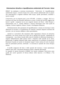 Sistemazione idraulica e riqualificazione ambientale del Torrente