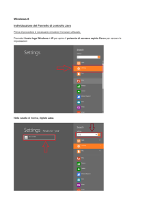Windows 8