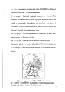 Linfonodi+Atm - Axada Catania