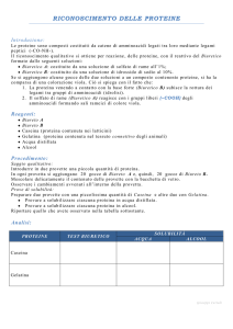 riconoscimento delle proteine