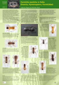 poster regione 05 web