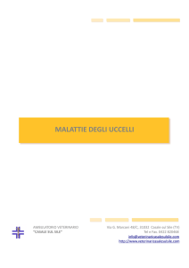 Le Malattie Degli Uccelli