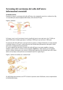Screening del carcinoma del collo dell`utero: informazioni
