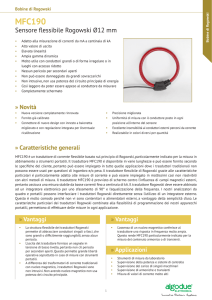 data sheet - Rogowski.it