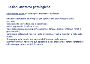 psa lezione scuola 2^ parte
