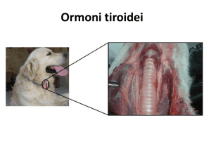 tiroide File - Progetto e