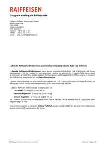 Gruppo Marketing del Bellinzonese