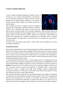 Il Cuore: il motore della vita