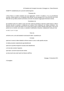 Abbattimento Pini e Vendita Legna