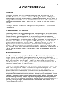 lo sviluppo embrionale