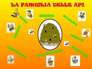 La Famiglia delle Api: Ruoli e Alveare