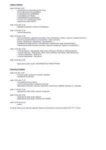 programma di studio