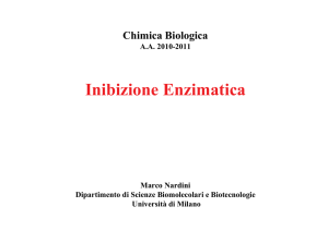 Cinetica enzimatica