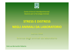 Presentazione stress e distress