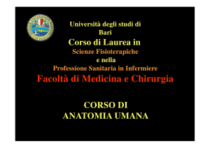 Tegumentario [modalità compatibilità]