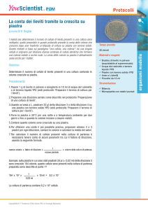 Conta su piastra