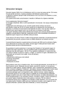 File - dimensione natura
