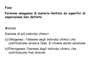Fase Porzione omogenea di materia limitata da superfici di