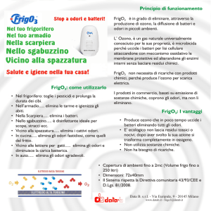 Elimina odori virus e batteri.