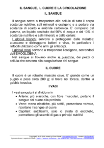 anatomia e fisiologia: l`apparato circolatorio