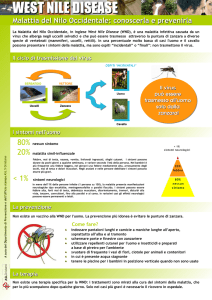 Scarica e stampa il manifesto informativo della Asl 5