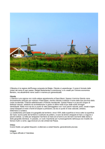 Il Benelux è la regione dell`Europa composta da Belgio, Olanda e