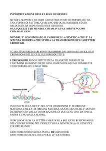 Spiegaz. leggi di Mendel - Istituto Comprensivo Lari