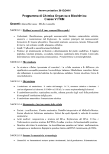 Programma di Chimica Organica e Biochimica - Panetti