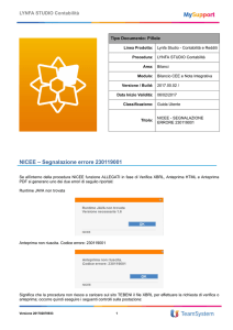 NICEE – Segnalazione errore 230119001
