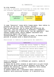 il cenozoico - La Teca Didattica