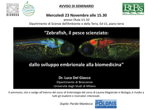 Presentazione standard di PowerPoint