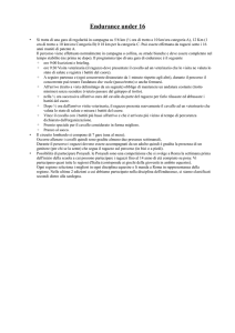 partecipazione a gare di endurance under 16