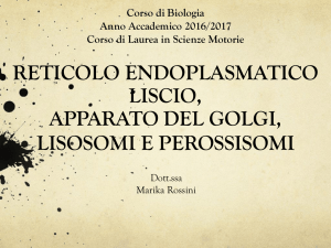 2016_10_20 Reticolo endoplasmatico