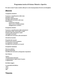Biennio Triennio