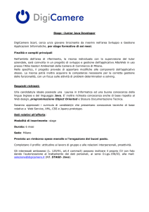 Stage –Junior Java Developer DigiCamere Scarl, cerca un/a