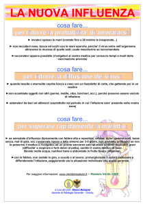 Informativa sull`influenza