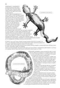 copertina novembre