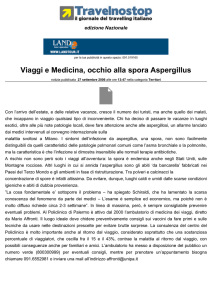 Viaggi e Medicina, occhio alla spora Aspergillus