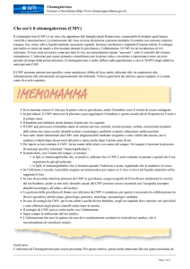 Che cos`è il citomegalovirus (CMV)