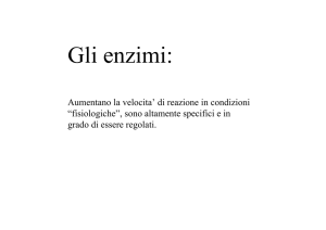 Gli enzimi: - Biocomputing.it