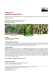 Scheda completa - Regione Piemonte