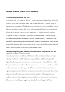 Patologie della voce: diagnosi multidimensionale