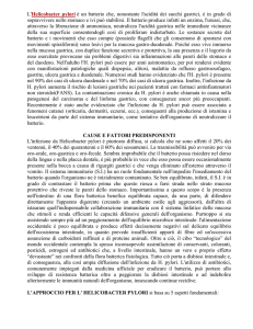 Helicobacter pylori - Farma