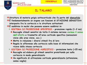 il talamo - Portale Docenti
