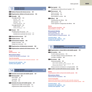 Sistema nervoso